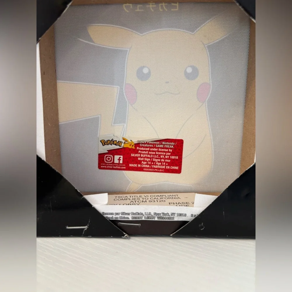 Pikachu and Pokémon | Wall art